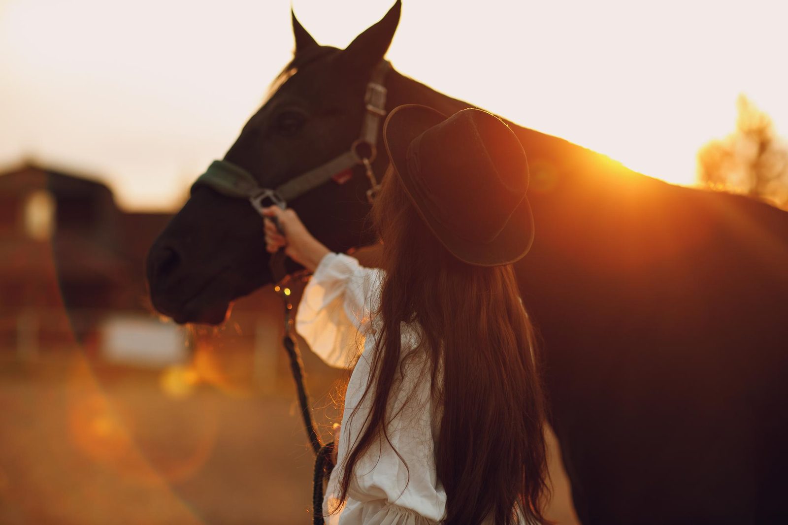Haras Juruá: identidade visual