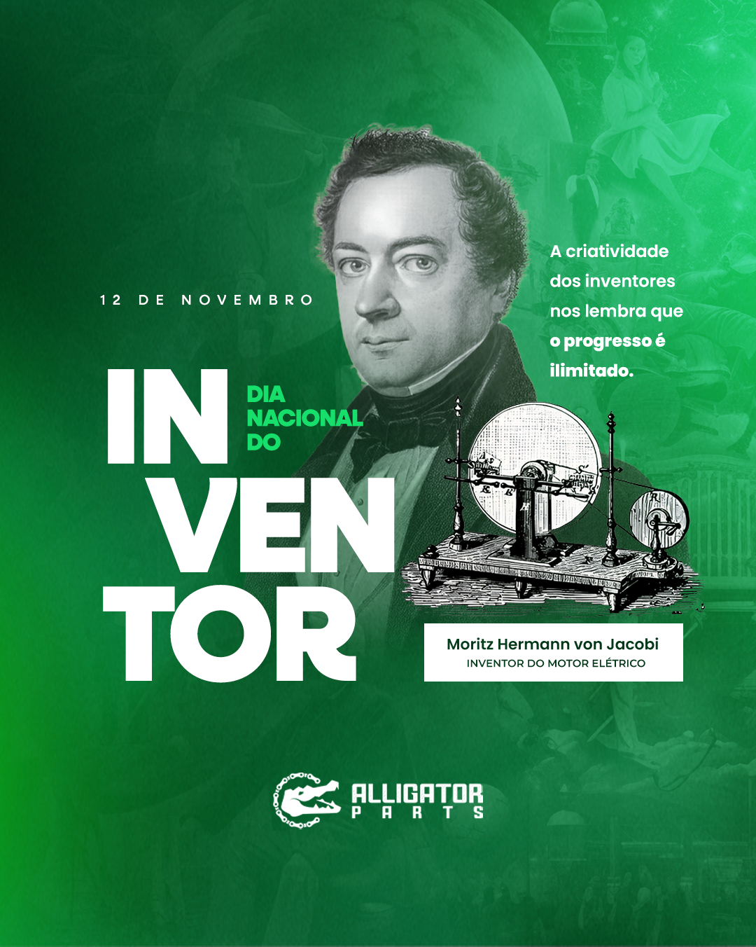 Alligator Parts: peça 2 de 11