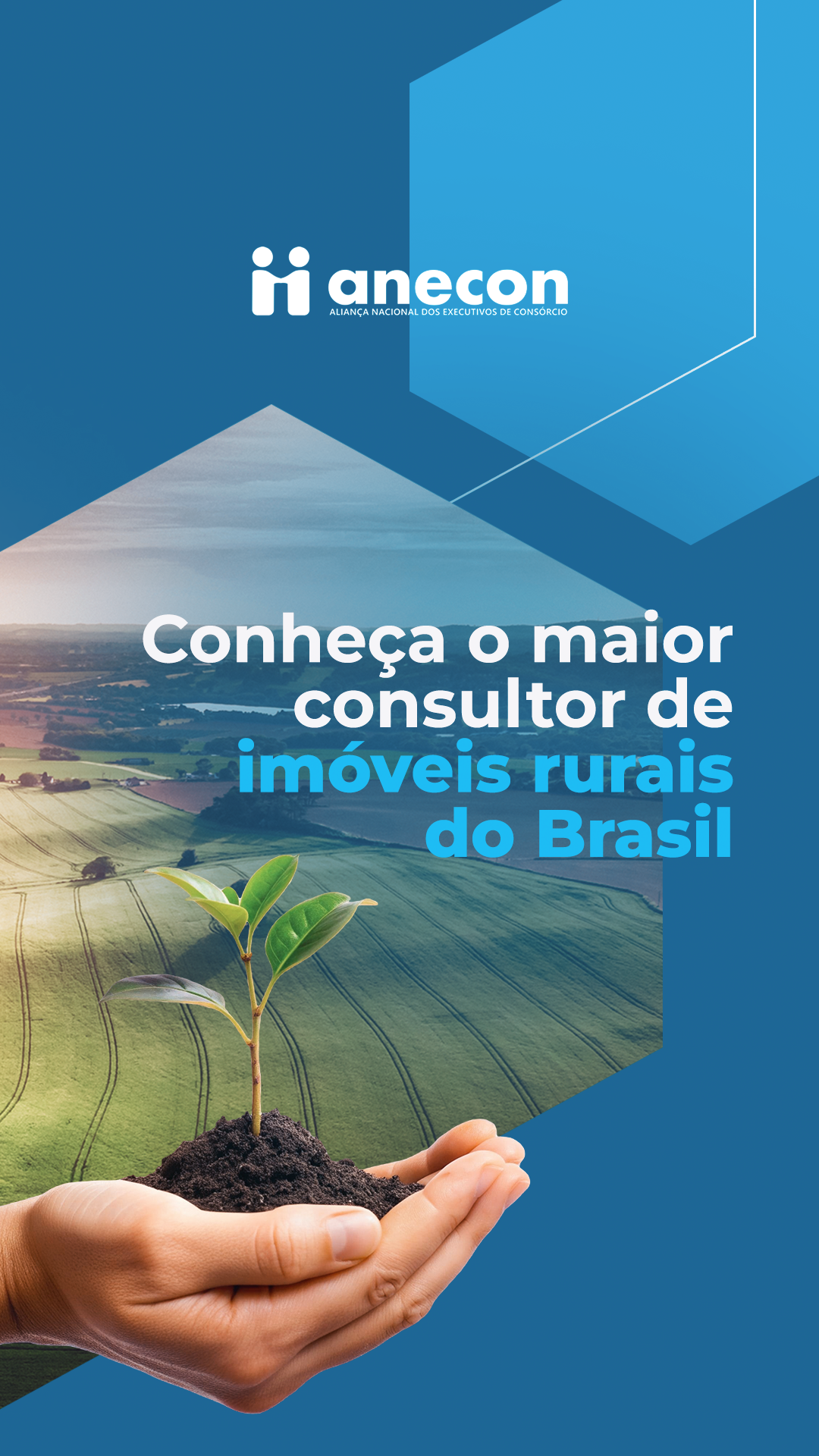 ANECON: peça 3 de 11