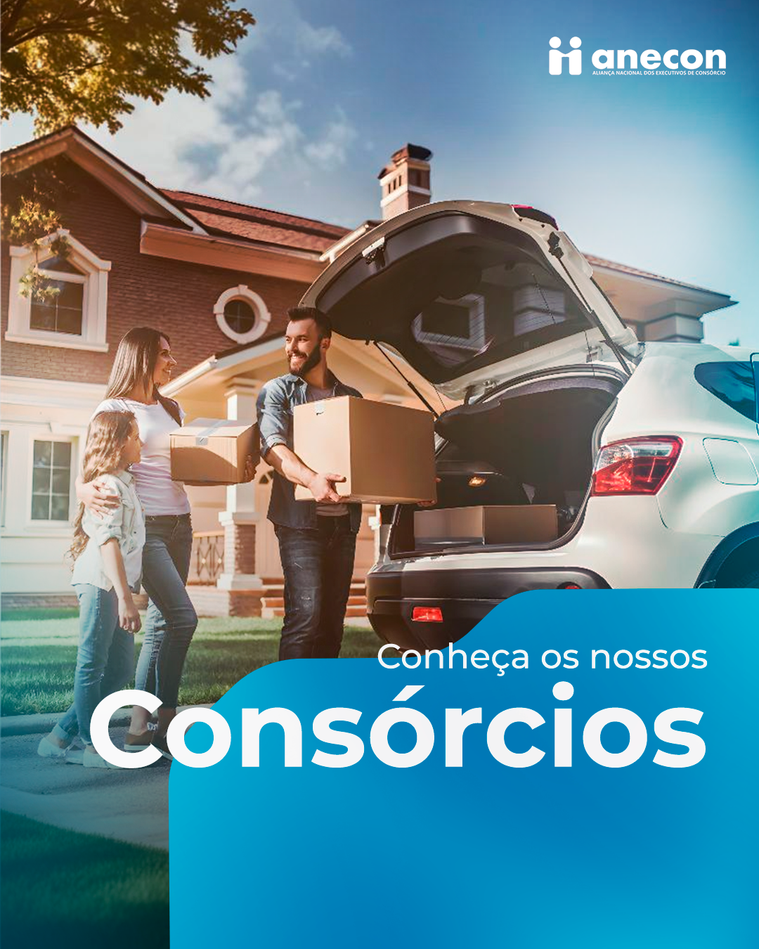 ANECON: peça 8 de 11