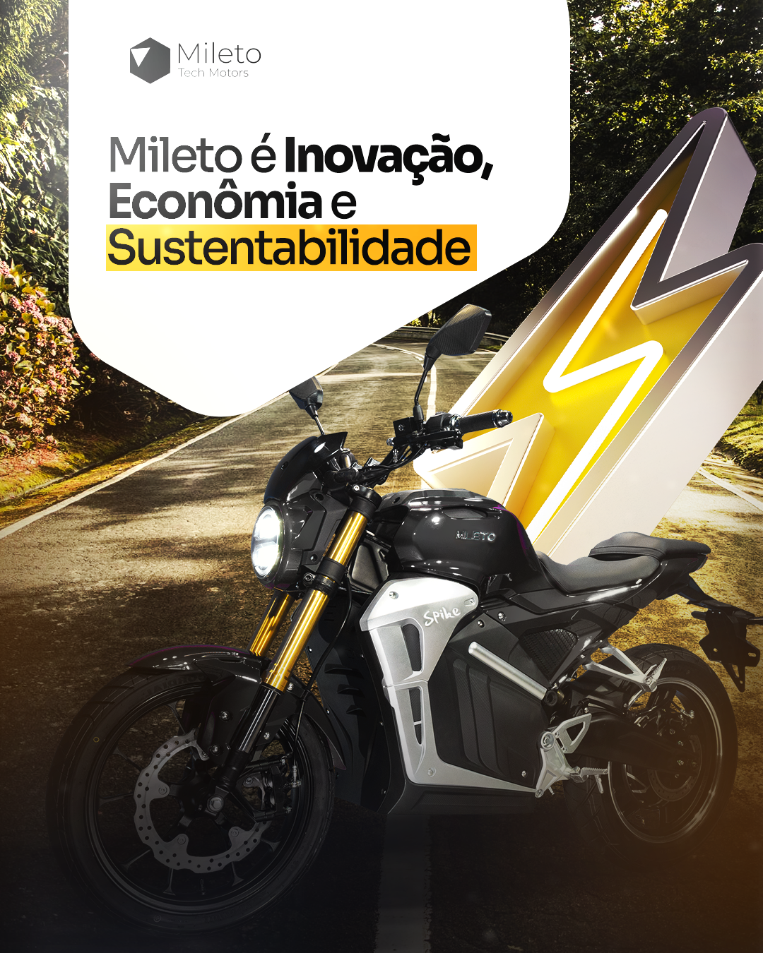 MILETO: peça 4 de 13