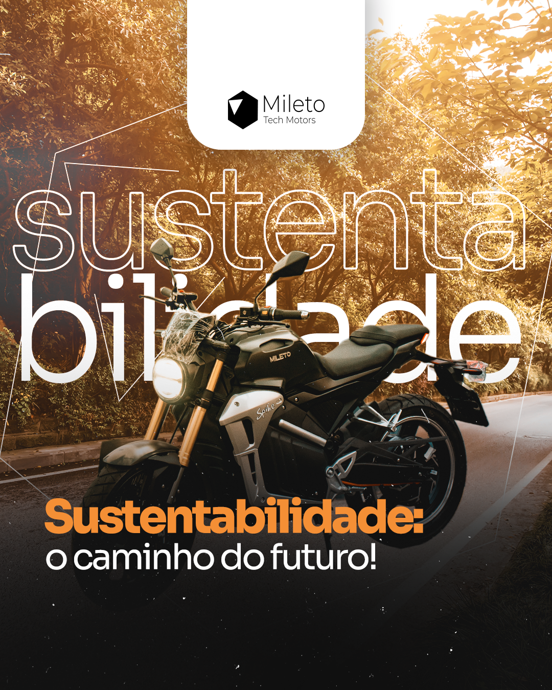 MILETO: peça 8 de 13
