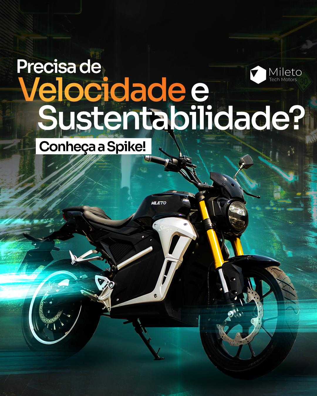 MILETO: peça 9 de 13