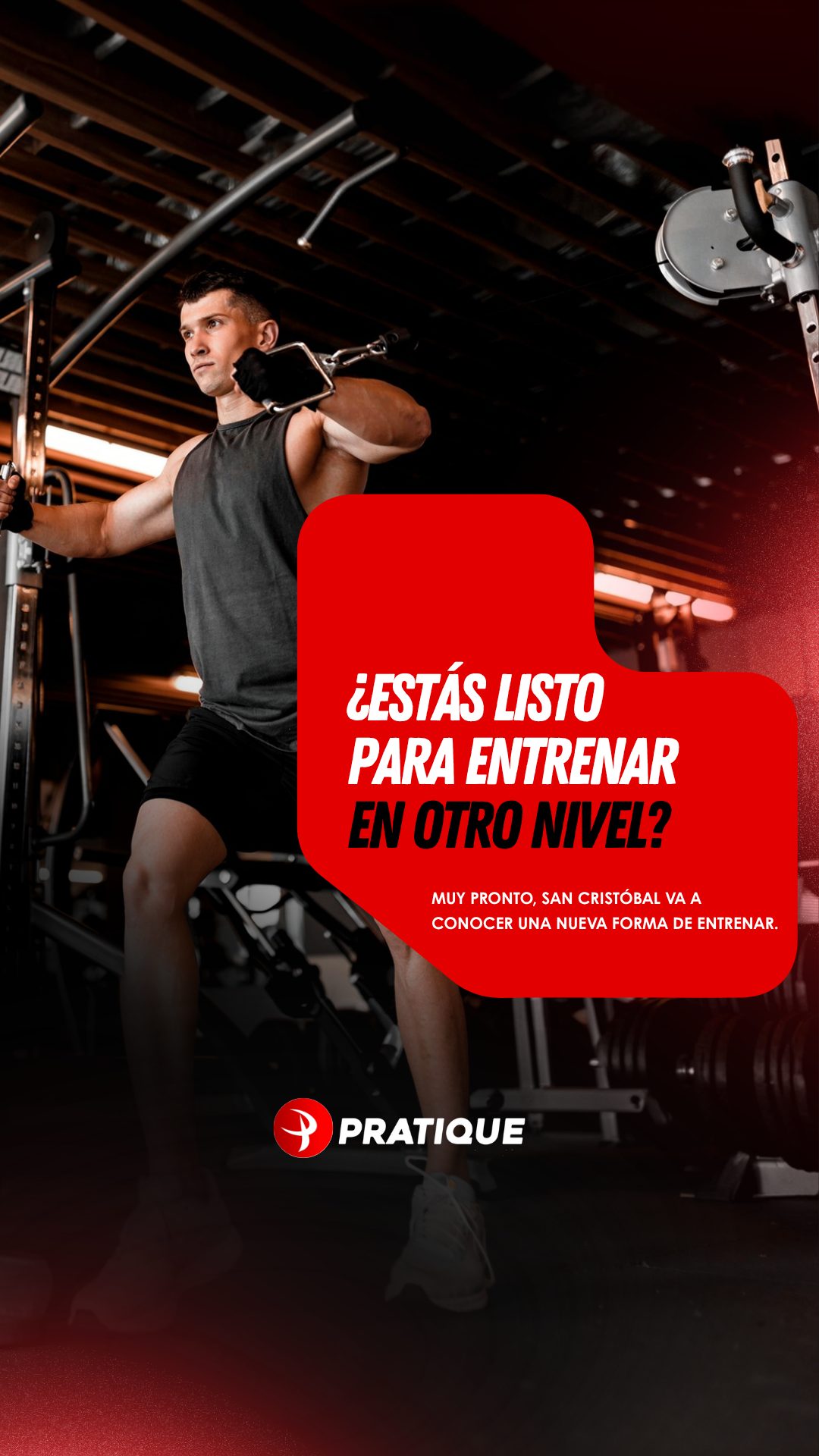 Pratique Fitness: peça 7 de 21