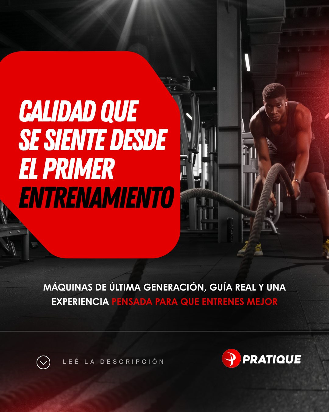 Pratique Fitness: peça 10 de 21