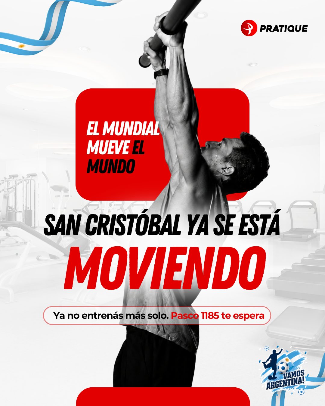 Pratique Fitness: peça 15 de 21