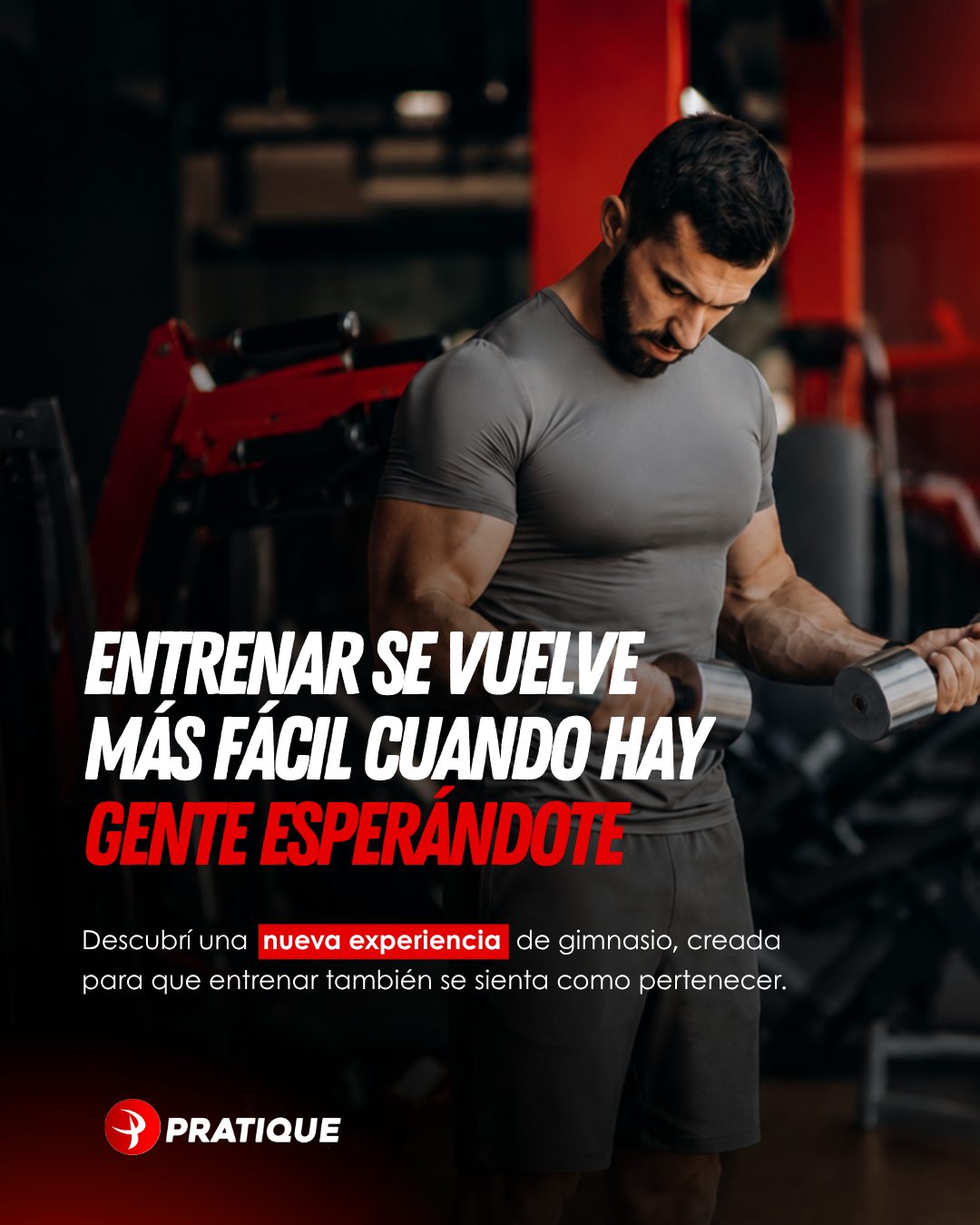 Pratique Fitness: peça 19 de 21