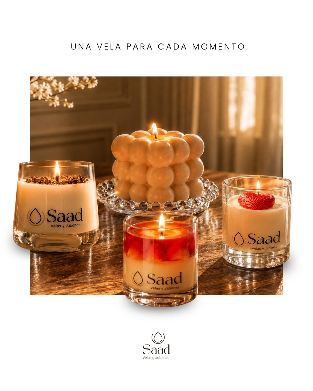 SAAD: peça 10 de 12